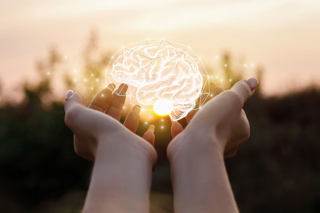 Brain, Mood & Cognitive Support