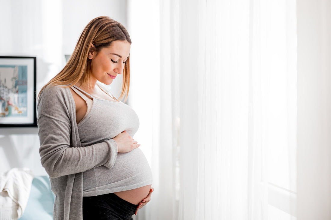 Fertility Program