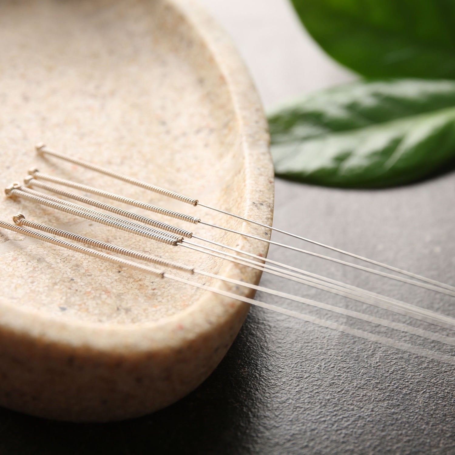 Sommer's Holistic Health