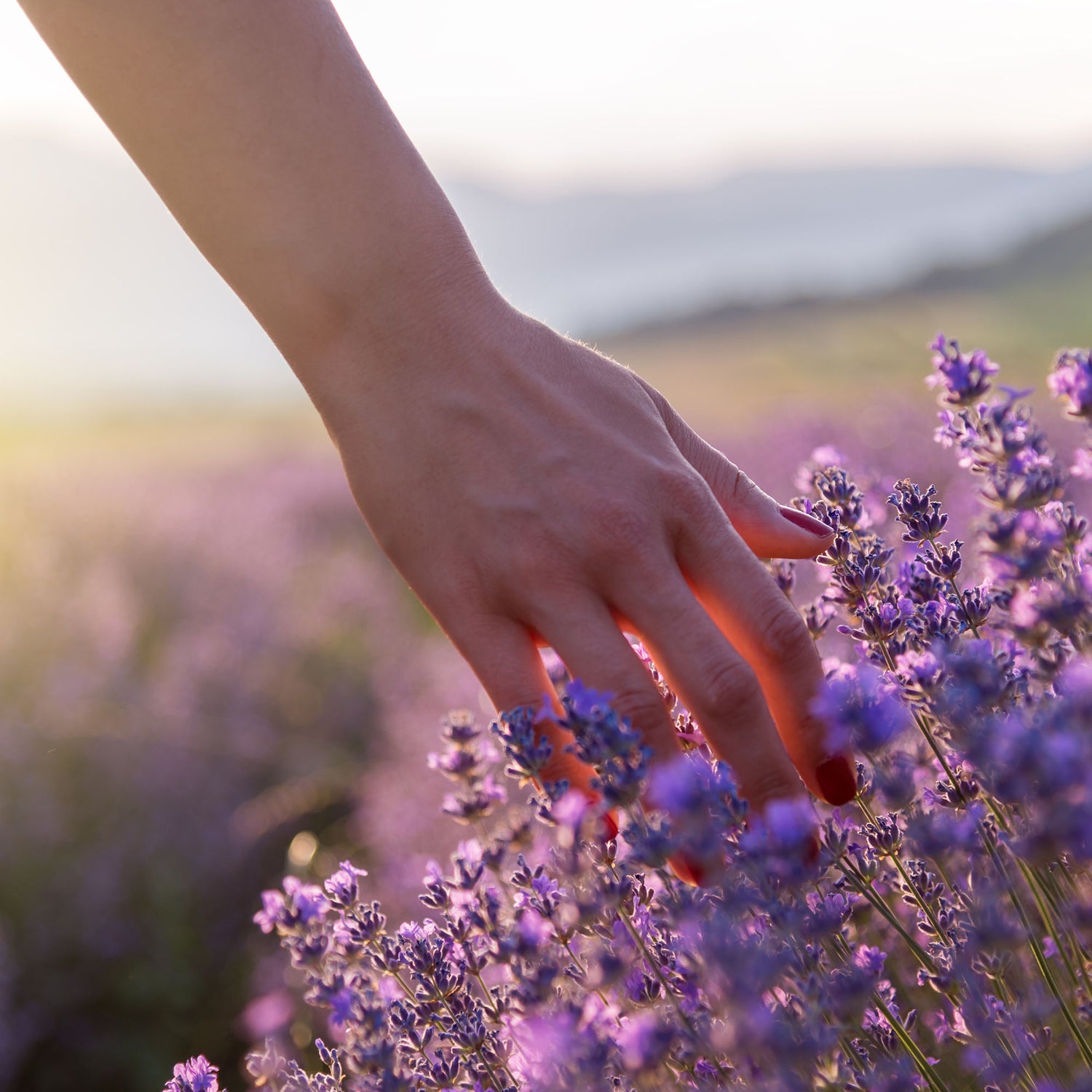 Sommer's Holistic Health